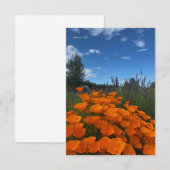 Californië Poppies & Lavendel Notitiekaartje (Voorkant / Achterkant)