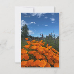 Californië Poppies & Lavendel Notitiekaartje