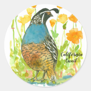 Californië Poppies Quail Bird Waterverf Ronde Sticker