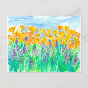 Californië Poppies Waterverf Schilderij Briefkaart