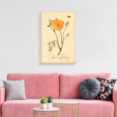 Californië Poppy Sinaasappel Botanische Wildbloem Canvas Afdruk (Insitu (Woonkamer))