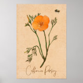 Californië Poppy Sinaasappel Botanische Wildbloem Poster (Voorkant)