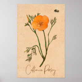 Californië Poppy Sinaasappel Botanische Wildbloem Poster