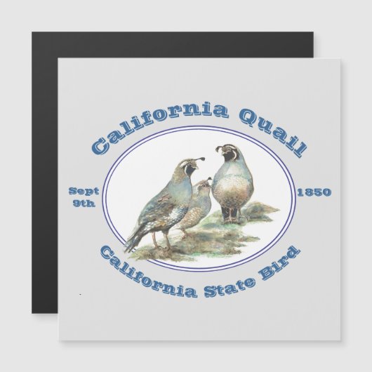Californië Quail California State Vogel Waterverf (Voorkant / Achterkant)