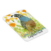 Californië Quail Waterverf Poppies Schilderij Magneet (Rechterzijde)