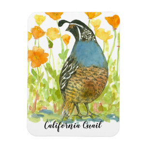 Californië Quail Waterverf Poppies Schilderij Magneet