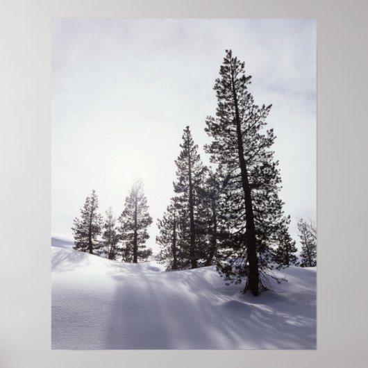 Californië, Rancho Cuyamaca State Park Poster (Voorkant)
