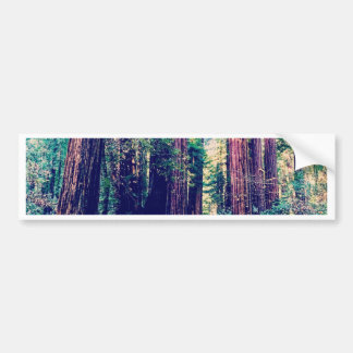 Californië Redwood Bumpersticker