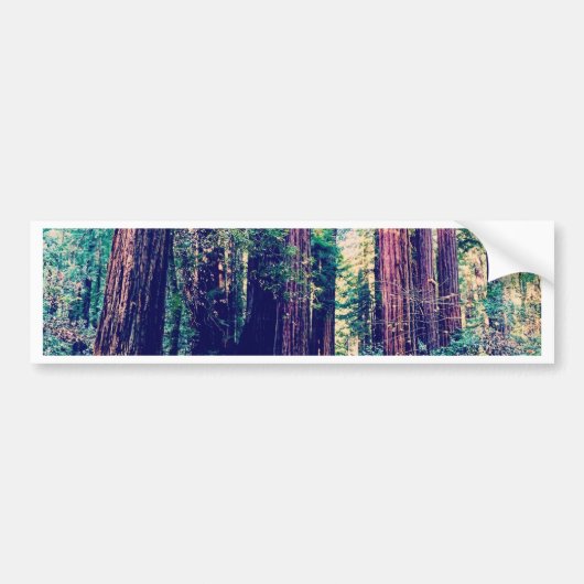 Californië Redwood Bumpersticker (Voorkant)