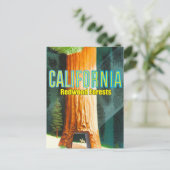Californië, Redwood Forest, Grote Boom, Sequoia Briefkaart (Staand voorkant)