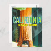 Californië, Redwood Forest, Grote Boom, Sequoia Briefkaart (Voorkant / Achterkant)