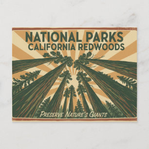 Californië Redwood Nationale Parken Vintage Reizen Briefkaart