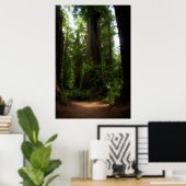 Californië Redwood Poster (Thuiskantoor)
