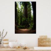 Californië Redwood Poster (Keuken)