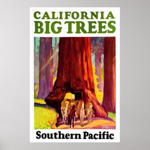 Californië Reisposter Reuzenbomen Kunst Zuidelijk Poster