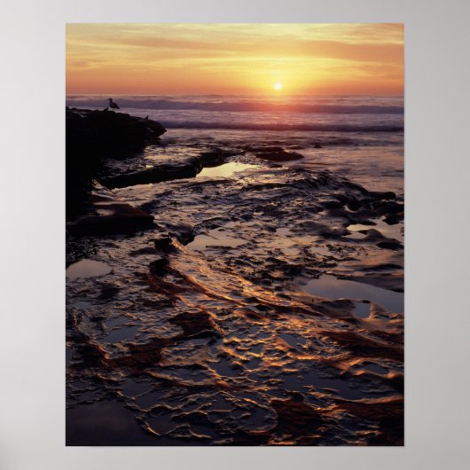 Californië, San Diego, La Jolla, Sunset over Poster (Voorkant)
