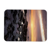 Californië, San Diego, Sunset Cliffs, Sunset 6 Magneet (Horizontaal)