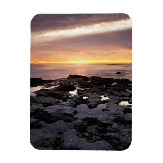 Californië, San Diego, Sunset Cliffs, Sunset 6 Magneet (Verticaal)