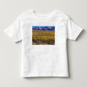 Californië, San Luis Obispo County, Edna Valley Kinder Shirts