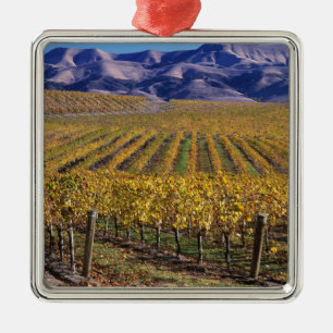 Californië, San Luis Obispo County, Edna Valley Metalen Ornament