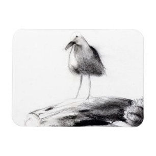 Californië Seagull 2012 Magneet