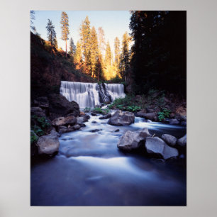 Californië, Shasta-Trinity National Forest Poster