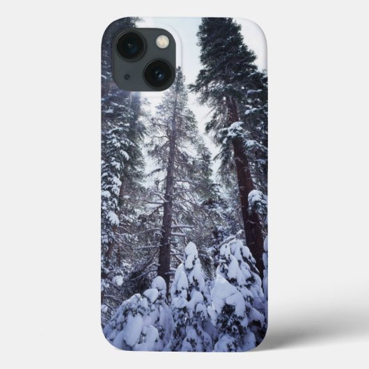 Californië, Sierra Nevada bergen 9 Case-Mate iPhone Case (Achterkant)
