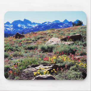 Californië, Sierra Nevada-gebergte 1 Muismat