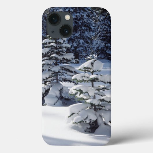 Californië, Sierra Nevada-gebergte 8 Case-Mate iPhone Case (Achterkant)