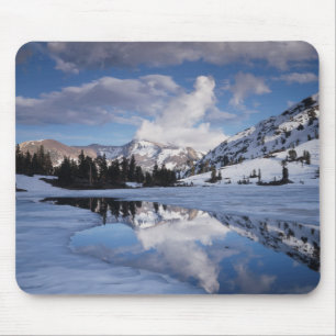 Californië, Sierra Nevada-gebergte, Dana Peak Muismat