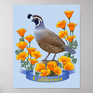 Californië Staatsvogel Kwartel & Gouden Klaproos Poster