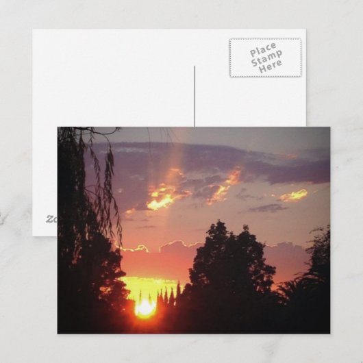 Californië Sunset Briefkaart (Voorkant / Achterkant)