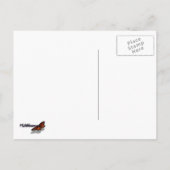 Californië Sunset Waves Ocean Seascape Briefkaart (Achterkant)