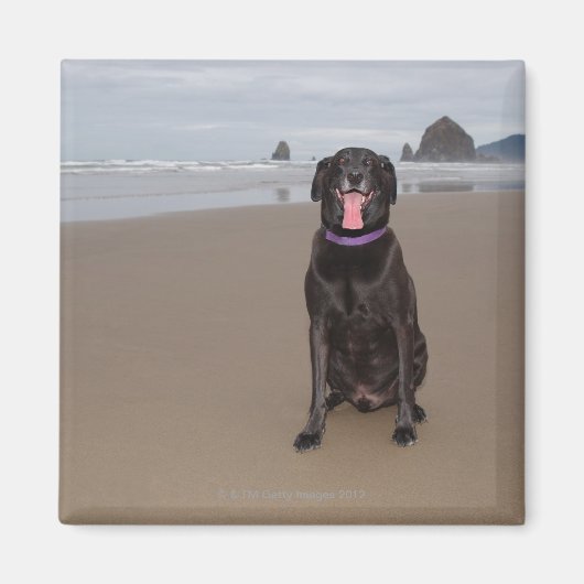 Californië, Verenigde Staten Magneet (Voorkant)