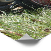 Californië verliet Barq's truck Poster (Hoek)