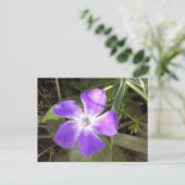 Californië Wildflower Briefkaart (Staand voorkant)