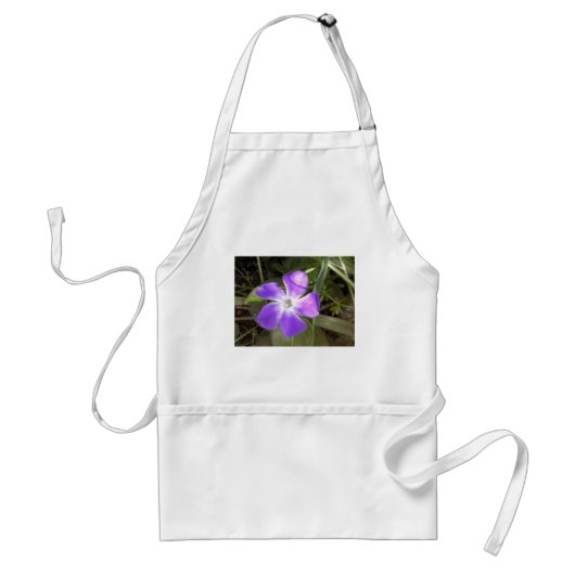 Californië Wildflower Standaard Schort (Voorkant)