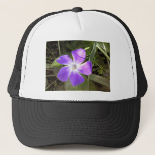 Californië Wildflower Trucker Pet