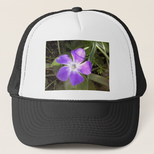 Californië Wildflower Trucker Pet (Voorkant)