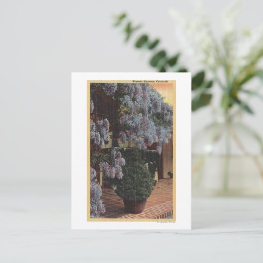 Californië-Wisteria-Plant in Bloom Briefkaart (Staand voorkant)