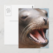 Californië Zee Lion Briefkaart (Voorkant / Achterkant)