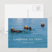 Californië Zee Otter California Producten Briefkaart (Voorkant / Achterkant)