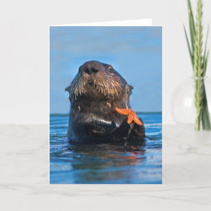 Californië Zee Otter Holding Starfish Kaart