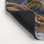 Californië Zee Otter Mousepad Muismat (Hoek)