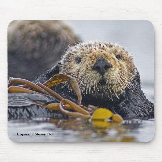 Californië Zee Otter Mousepad Muismat (Voorkant)