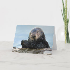 Californië Zee Otter Spelen met Stone Kaart