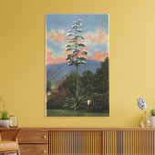 CaliforniëCentury-Plant in Bloom Canvas Afdruk (Insitu (Woonkamer))