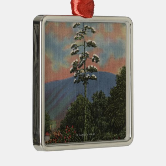 CaliforniëCentury-Plant in Bloom Metalen Ornament (Rechts)