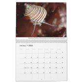 Californische agenda voor werkpools kalender (Jan 2026)