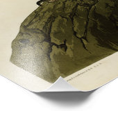 Californische aquacultuur uit de Amerikaanse vogel Foto Afdruk (Hoek)